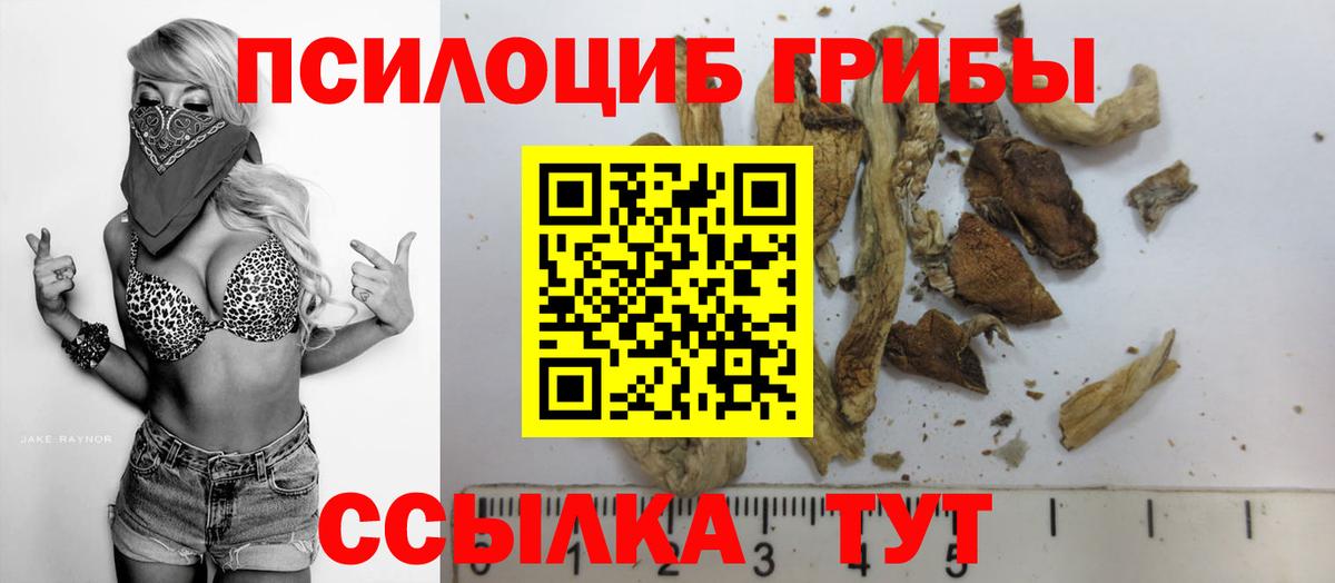 Псилоцибиновые грибы мицелий Артём